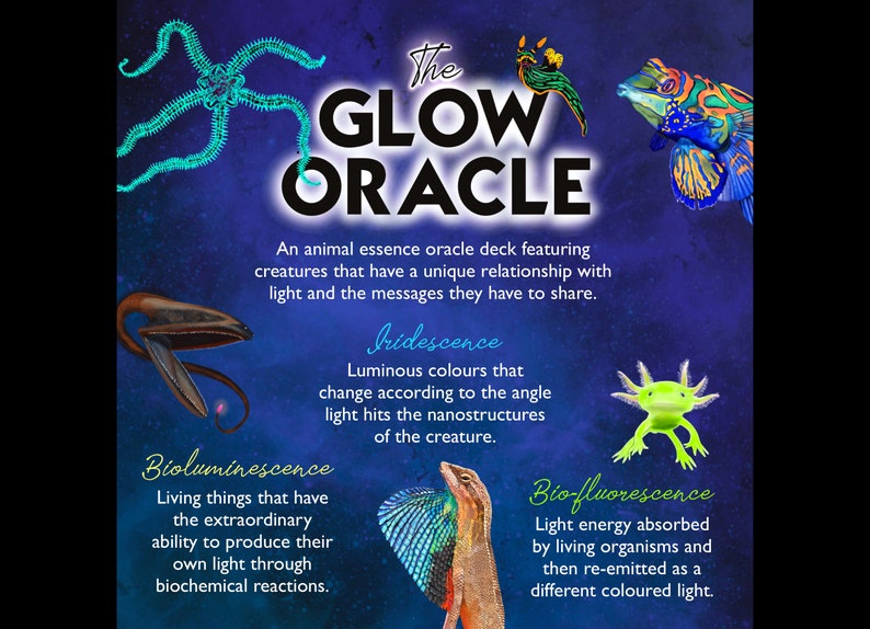 Peut inclure: Le jeu d'oracle Glow Oracle pr&eacute;sente une vari&eacute;t&eacute; de cr&eacute;atures qui brillent dans le noir. Le jeu comprend une &eacute;toile de mer, un poisson, un l&eacute;zard, un axolotl et un hippocampe. Les cartes sont illustr&eacute;es avec des couleurs vives et pr&eacute;sentent le texte "The Glow Oracle" et "Un jeu d'oracle d'essence animale mettant en sc&egrave;ne des cr&eacute;atures qui ont une relation unique avec la lumi&egrave;re et les messages qu'elles ont &agrave; partager."