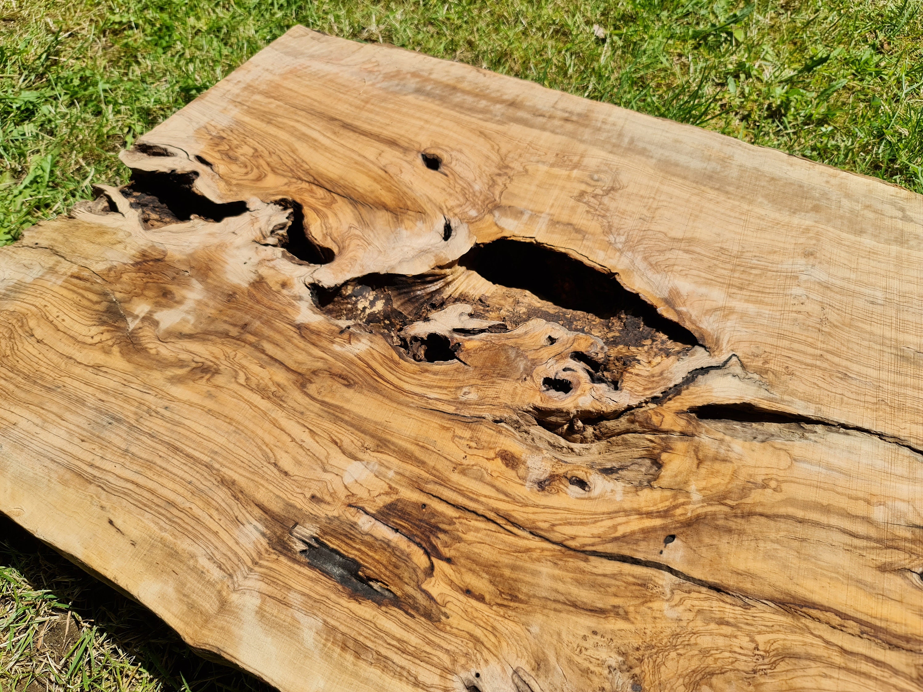 Very Rare Olive Wood Slab Live Edge Wood. UK stock. Premium Etsy