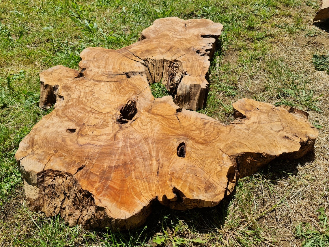 Very Rare Olive Wood Slab Live Edge Wood. UK Stock. Premium Delivery