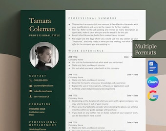Currículum de Google Docs, plantilla de CV moderna, foto de CV, CV profesional de Canva, plantilla de CV de Word, currículum ejecutivo técnico vertical de 1 o 2 páginas