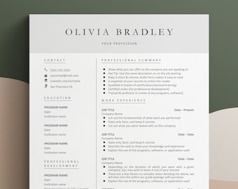 Cv Template Word, Curriculum Vitae, Resume Template Google Doc, Cv Google Docs, CV Template Modern, CV Professional, 1 or 2 Page Columns