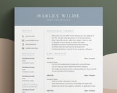 Cv Template Word, Resume Google Doc, Cv Google Docs, 2026 CV, CV Professional, Student CV Academic, Modern Resume Template 1 or 2 Page