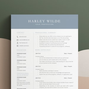 Plantilla de CV Word, CV Google Doc, Cv Google Docs, Plantilla de CV, CV Profesional, CV de Estudiante Académico, Plantilla de CV Moderno de 1 o 2 Páginas