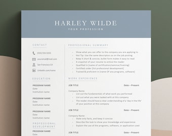 Cv Template Word, Resume Google Doc, Cv Google Docs, 2026 CV, CV Professional, Student CV Academic, Modern Resume Template 1 or 2 Page