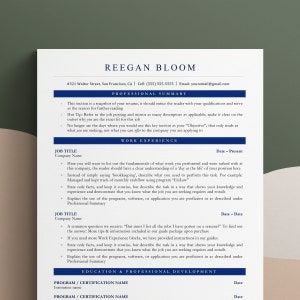 Currículum profesional, Plantilla de CV ejecutivo, Plantilla de CV simple, Plantilla de CV Word, Cv Google Docs, Currículum ATS de Sorority College 1 o 2 páginas