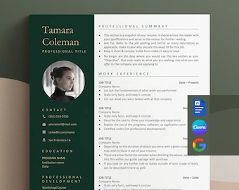 CV Google Docs, Modèle de CV moderne, CV avec photo, CV professionnel Canva, Modèle de CV Word, CV technique portrait 1 ou 2 pages