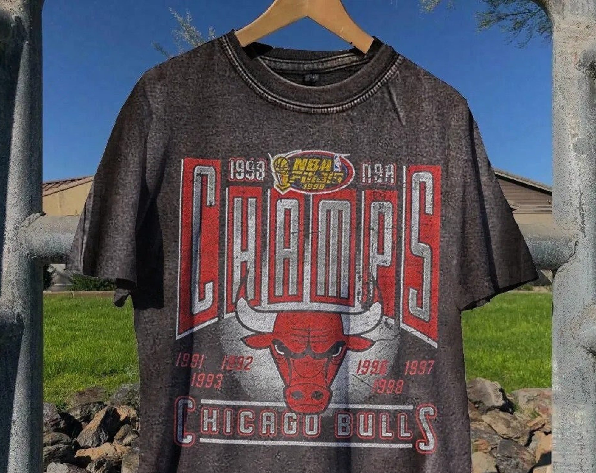 Vintage Wash Chicago Bulls World Champs Ball Shirt, Bulls Basketball Graphic Tee