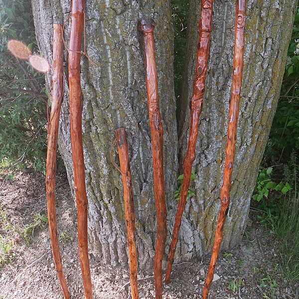 Hiking Sticks! Free Shipping! Customize or personalized.  Each Stick is unique and individually hand carved, stained, and customized!