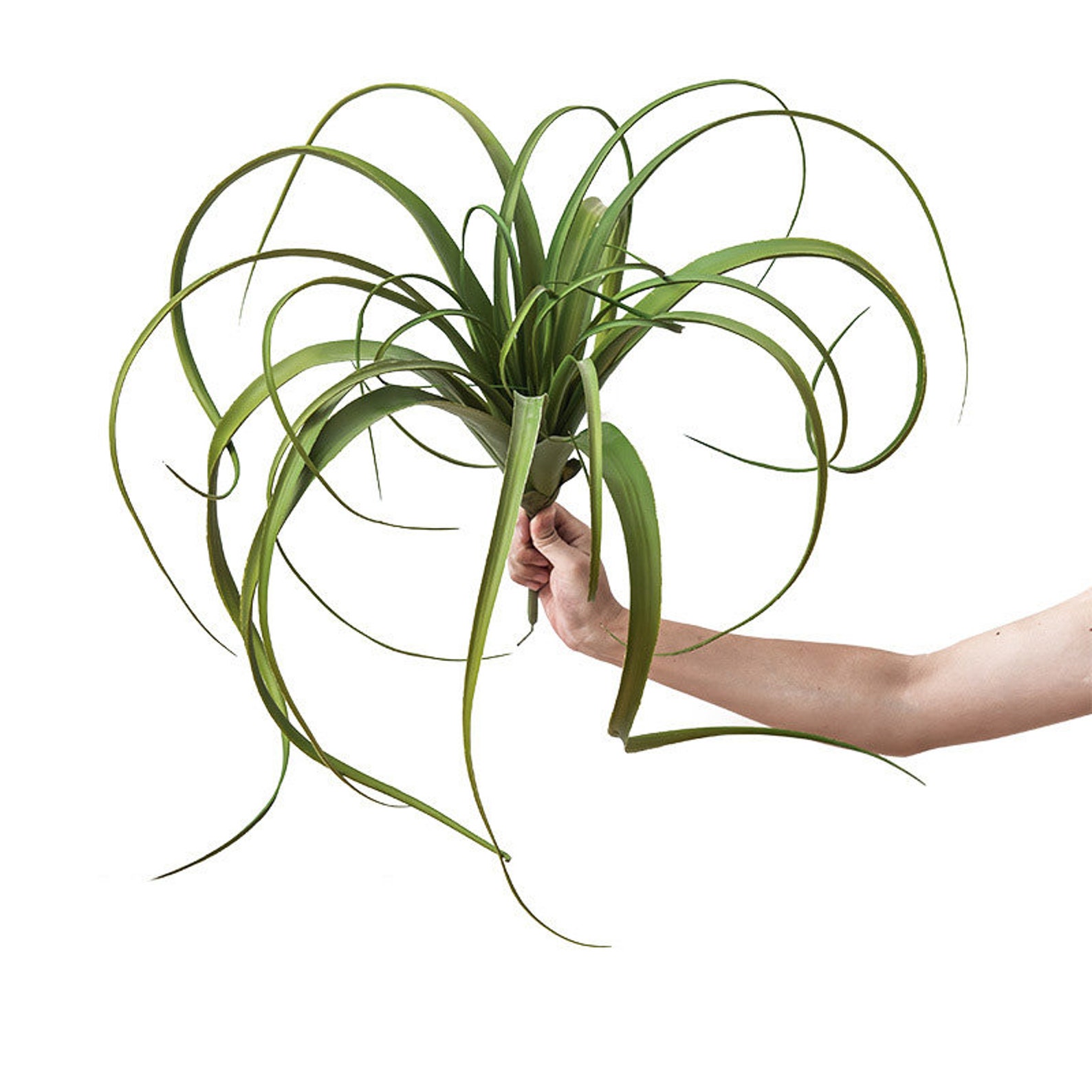 Large Artificial Air Plants Faux Succulents Plants Fake Etsy
