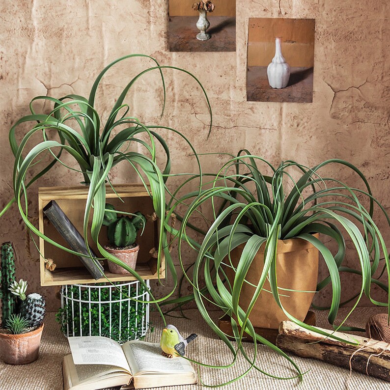 Large Artificial Air Plants Faux Succulents Plants Fake Etsy