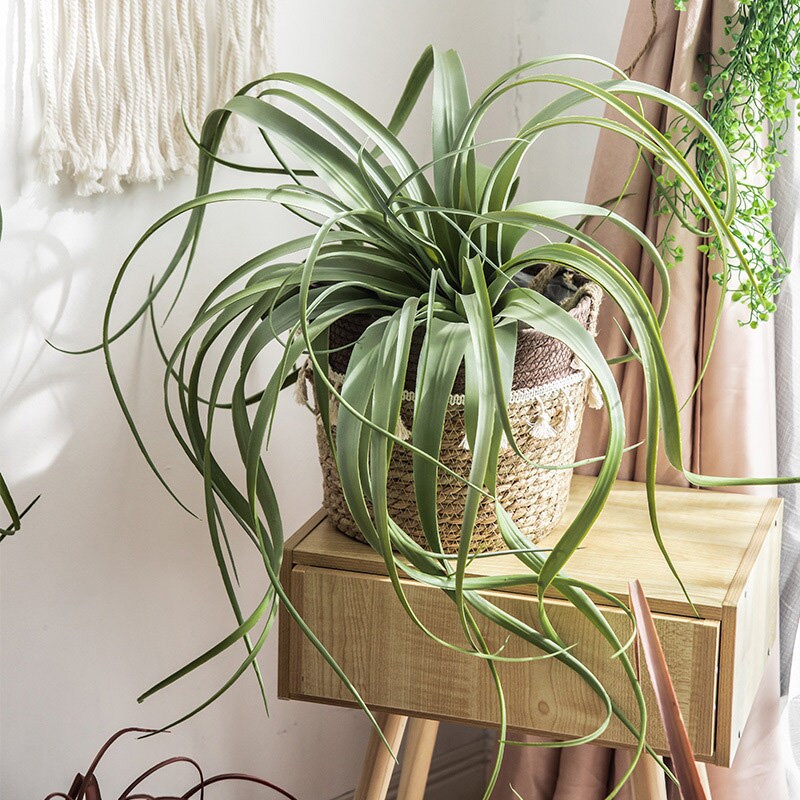 Large Artificial Air Plants Faux Succulents Plants Fake Etsy