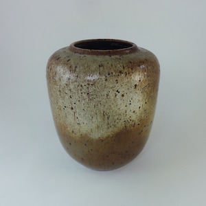 May include: A brown and white ceramic vase with a speckled glaze.