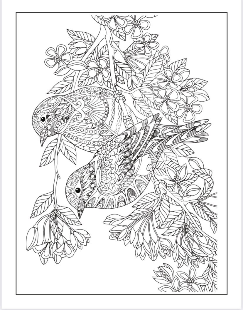 BIRDS BUGS BUTTERFLIES Printable Coloring Pages - Etsy