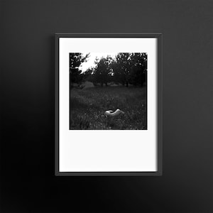 Fine art photography print