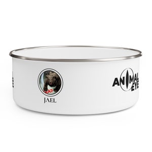 Animal Eye Jael Bowl, Cool hipster chic enamel bowl, Comic book collectibles