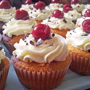 Black Forest Cherry Cupcakes Recipe | English and German | Instant Download PDF