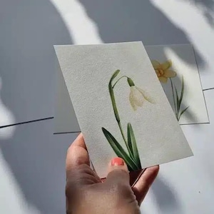 Cartoline fiori primaverili