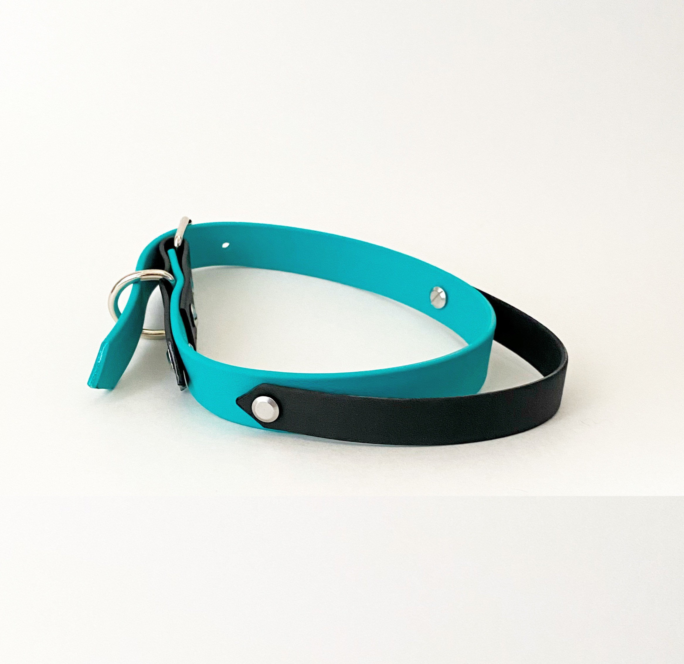 1 inch Dock Diving Collar w/ optional gem handle Waterproof Etsy