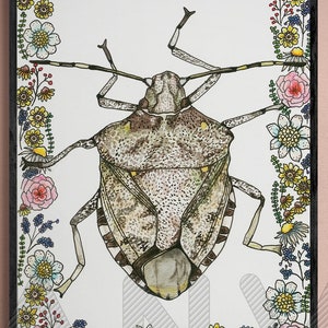 Könnte beinhalten: Eine gerahmte Illustration eines braunen und grauen Käfers mit einem floralen Rahmen. Die Blumen sind in den Farben Rosa, Gelb und Blau.