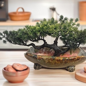 Könnte beinhalten: Ein Miniatur-Bonsai-Baum mit dunkelgrünem Laub und einem dunkelbraunen Stamm, gepflanzt in einem dekorativen, oval geformten Keramiktopf. Der Topf hat ein gesprenkeltes, erdiges Farbschema mit glasiertem Finish. Eine kleine Terrakotta-Schale mit Keksen befindet sich im Vordergrund.