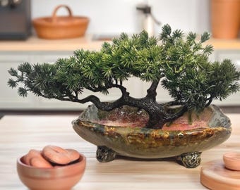 japan bonsai trees Gorgeous Juniper Bonsai