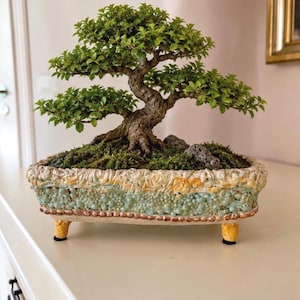 Könnte beinhalten: Ein Bonsai-Baum mit einem dicken, strukturierten Stamm und leuchtend grünen Blättern, gepflanzt in einem rechteckigen Keramiktopf. Der Topf hat eine dekorative, mehrfach strukturierte Oberfläche in Gelb- und Hellblautönen und steht auf vier kleinen, gelben, abgerundeten Füßen.