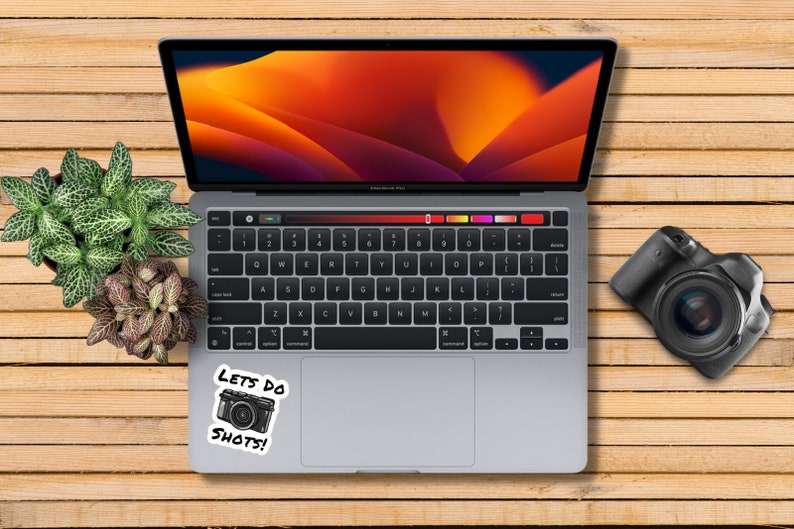 May include: A laptop computer with a sticker that says "Lets do shots!" with a camera icon. The laptop is on a wooden surface with a camera and two potted plants.