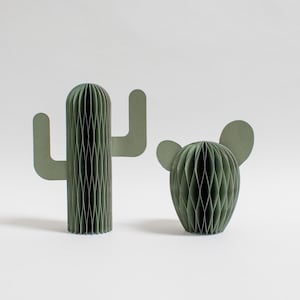 Decorazione sostenibile con cactus di carta: pianta d'appartamento come decorazione duratura per la casa o l'ufficio