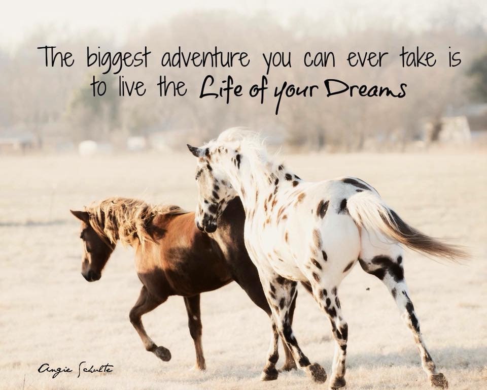 Life of Your Dreams Horses Wall Art Digital Print Etsy