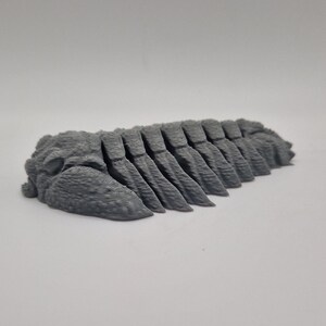 May include: A grey 3D printed model of a trilobite fossil. The model is detailed and shows the segmented body and legs of the extinct marine arthropod.