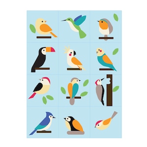 May include: A grid of colorful, stylized bird illustrations on a light blue background. The birds include a hummingbird, toucan, and woodpecker, among others. Each bird is perched on a brown branch with green leaves.