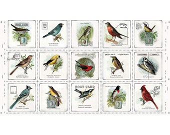 ART JOURNAL Song Birds Patch PANEL | J Wecker Frisch Riley Blake Designs | Song Birds Outdoors Journaling Bird Watching  P13032