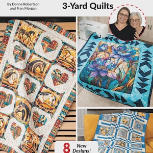 May include: A Fabric Cafe Panel Pizzazz 3-Yard Quilts book cover featuring three distinct quilt designs: one with horse and heart motifs, one with blue floral patterns, and one with a blue and yellow fruit print, plus text and author photos.