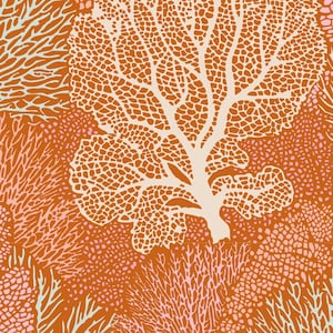 COTTON BEACH Coral Reef Ginger l BTY 100329 | Tone Finnanger TiLDA | Norway Beach Shells Ocean Indian Wood Block Free Pattern