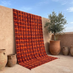 May include: A rectangular rug with an orange and burgundy geometric pattern is displayed against a beige wall. The rug features a repeating square design. Several terracotta pots and a small olive tree in a large pot are also visible.