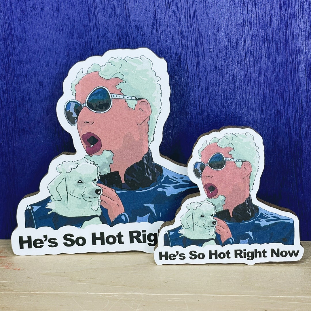 He's so Hot Right Now - Mugatu - Zoolander Fridge Magnet - Etsy
