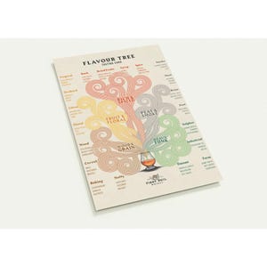 May include: A tasting card with a flavor tree diagram. The card features a color-coded illustration of whisky flavor profiles, including fruit, floral, and spice notes. The text "FLAVOUR TREE" is at the top, with "FIRST PHIL WHISKY" at the bottom.