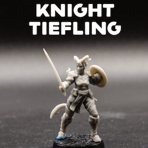 Knight Tiefling - Female Tiefling Paladin Fighter - Galaad Miniatures - D&D Dungeons and Dragons / Pathfinder Tabletop Miniature Character