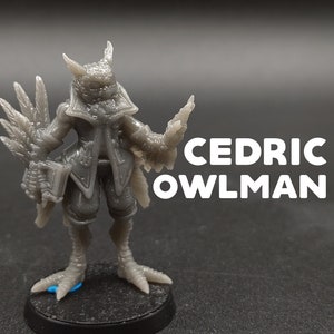 Cedric Owlman - Aarakocra Tengu Kenku Bird Person Scholar - Printed Obsession - D&D Dungeons and Dragons / Pathfinder Tabletop Miniature