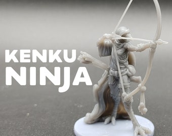 Ninja Kenku - Birdfolk Archer - Printed Obsession - Ninjas Vs Mimics - D&D Dungeons and Dragons / Pathfinder Tabletop Miniature Monsters