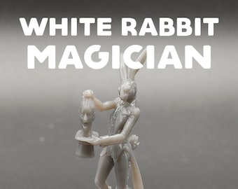 White Rabbit Magician - Printed Obsession - D&D Dungeons and Dragons / Pathfinder Tabletop Miniature