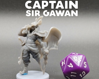 Capitán Pirata Sir Gawan - CastnPlay - Deep Sea Tales - D&D Dungeons and Dragons / Pathfinder Tabletop Personaje en miniatura