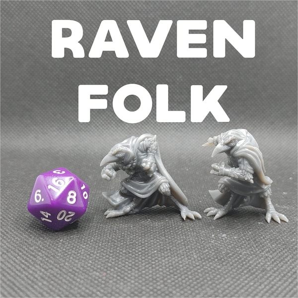 Ravenfolk/Kenku/Tengu - Brayan Nafarrate - D&D Dungeons and Dragons / Pathfinder Tabletop Miniature