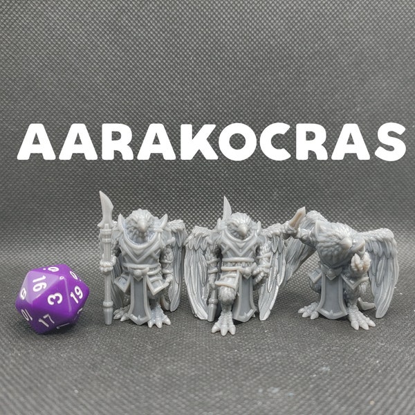 Aarakocras / Tengu / Birdfolk - Brayan Nafarrate - D&D Dungeons and Dragons / Pathfinder Tabletop Miniature