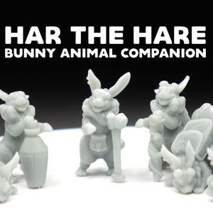 May include: A collection of gray bunny figurines, each with unique poses and accessories. The text "HAR THE HARE BUNNY ANIMAL COMPANION" is displayed in white block letters above the figurines. The figurines are on a white surface.