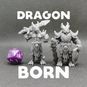 Dragonborn / Dragonkin - Brayan Nafarrate - D&D Dungeons and Dragons / Pathfinder Tabletop Miniature