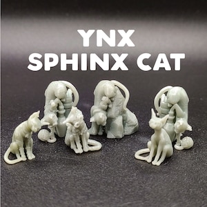 Ynx - Sphinx Cat Familiar - Hairless Cat Bingus Animal Companion - CastNPlay - D&D Dungeons and Dragons / Pathfinder Tabletop Miniature