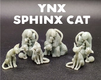 Ynx - Sphinx Cat Familiar - Hairless Cat Bingus Animal Companion - CastNPlay - D&D Dungeons and Dragons / Pathfinder Tabletop Miniature