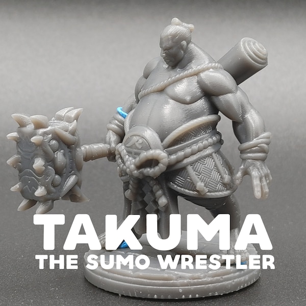 Takuma the Sumo Wrestler - Dragon Trapper's Lodge - D&D Dungeons and Dragons / Pathfinder Tabletop Miniature Character