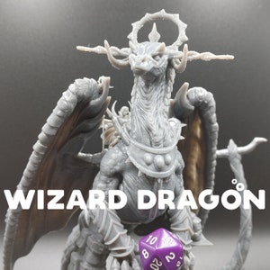 Wizard Dragon and Trapper Rider - Dragon Trapper&#39;s Lodge - D&D Dungeons and Dragons / Pathfinder Tabletop Miniature Monster + Character